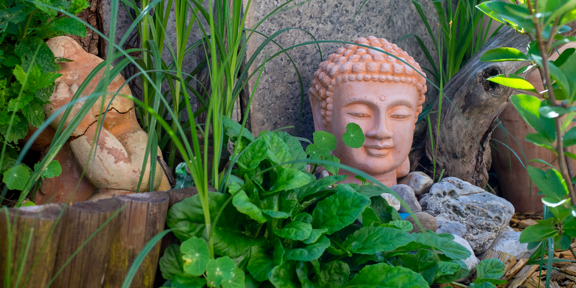 Buddha in the garden